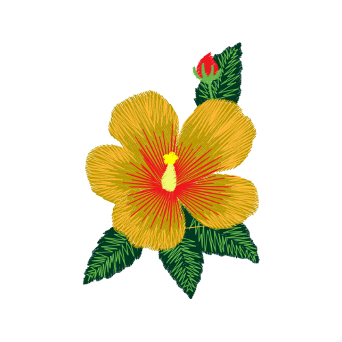 Hibiscus Wedding Hibiscus Wedding