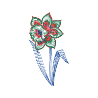 Hippeastrum Wedding Hippeastrum Wedding