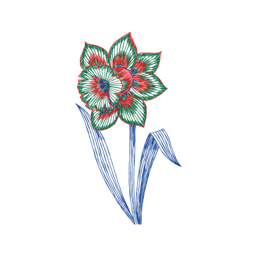 Hippeastrum Wedding Hippeastrum Wedding