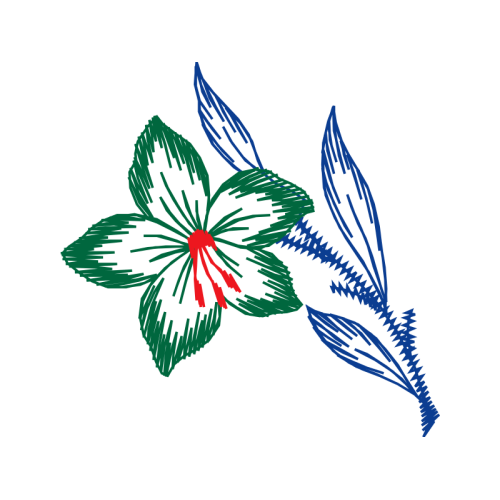 Hippeastrum Wedding Hippeastrum Wedding