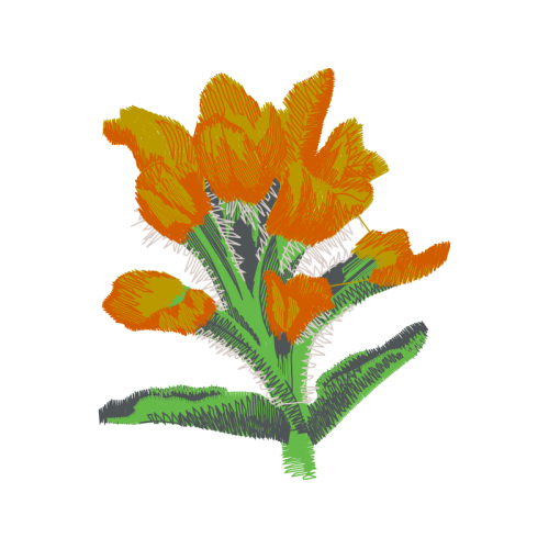 Hippeastrum Wedding Hippeastrum Wedding