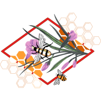 Hishi Mon Wedding Hishi Mon Wedding