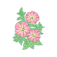 Hollyhocks Wedding Hollyhocks Wedding