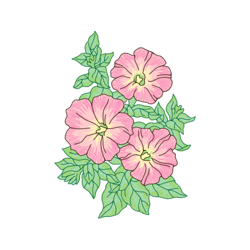 Hollyhocks Wedding Hollyhocks Wedding