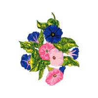 Hollyhocks Wedding Hollyhocks Wedding