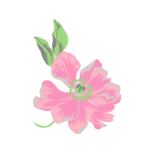 Hollyhocks Wedding Hollyhocks Wedding