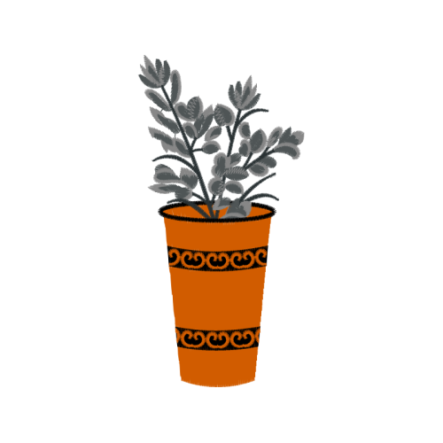 Houseplant Wedding Houseplant Wedding