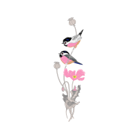 Humpback Whale Wedding