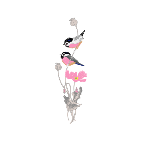 Humpback Whale Wedding Humpback Whale Wedding