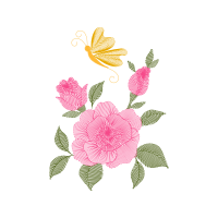 Hybrid Tea Rose Wedding Hybrid Tea Rose Wedding