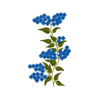 Hydrangea Wedding Hydrangea Wedding