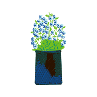 Hydrangea Wedding Hydrangea Wedding