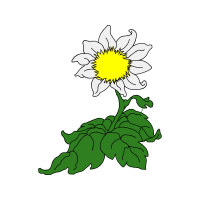 Illustration Wedding Illustration Wedding