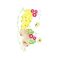 Illustration Wedding Illustration Wedding