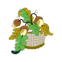 Illustration Wedding Illustration Wedding