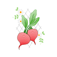 Illustration Wedding