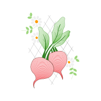 Illustration Wedding