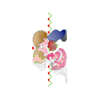 Illustration Wedding Illustration Wedding