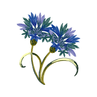 Illustration Wedding Illustration Wedding