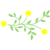 Illustration Wedding