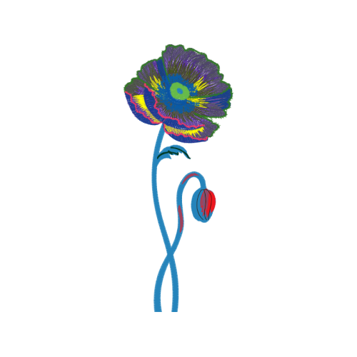 Illustration Wedding Illustration Wedding