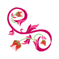 Illustration Wedding