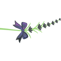 Illustration Wedding