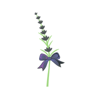 Illustration Wedding