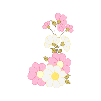 Illustration Wedding Illustration Wedding