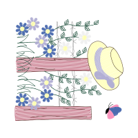 Illustration Wedding