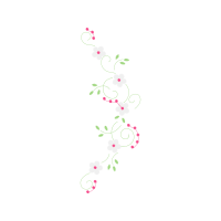 Illustration Wedding Illustration Wedding