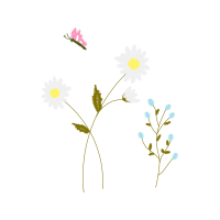 Illustration Wedding Illustration Wedding