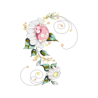 Illustration Wedding Illustration Wedding