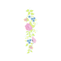 Illustration Wedding