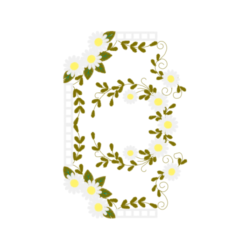 Illustration Wedding Illustration Wedding