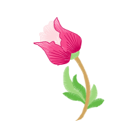 Illustration Wedding