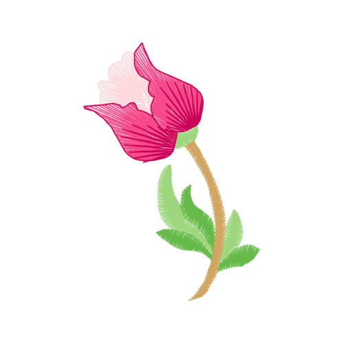 Illustration Wedding Illustration Wedding