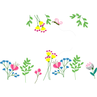 Illustration Wedding Illustration Wedding