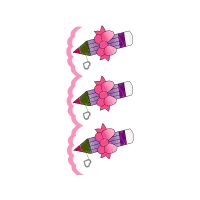 Illustration Wedding