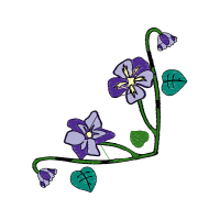 Illustration Wedding Illustration Wedding