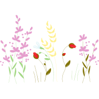 Illustration Wedding Illustration Wedding