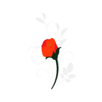 Illustration Wedding Illustration Wedding