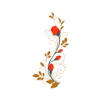 Illustration Wedding