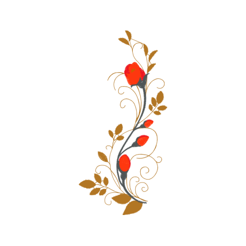 Illustration Wedding Illustration Wedding