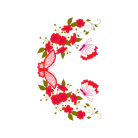 Illustration Wedding Illustration Wedding