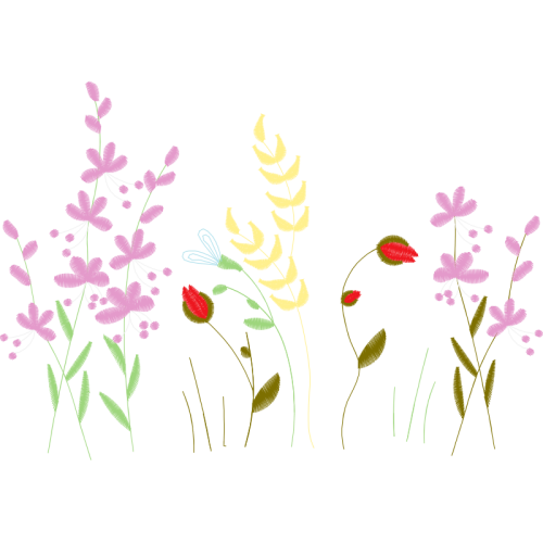 Illustration Wedding Illustration Wedding