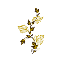 Illustration Wedding