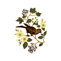 Illustration Wedding