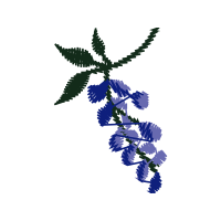 Illustration Wedding