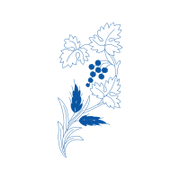 Illustration Wedding